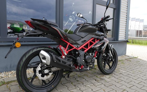 Neufahrzeug Benelli BN 125 - Bild 8