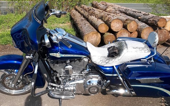 Offerta Harley-Davidson CVO Street Glide FLHXSE - Immagine 1