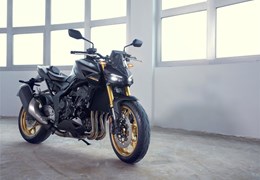 Neumotorrad Honda CB1000 Hornet SP