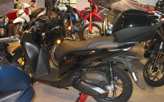 Neufahrzeug Honda SH125i - Bild 2