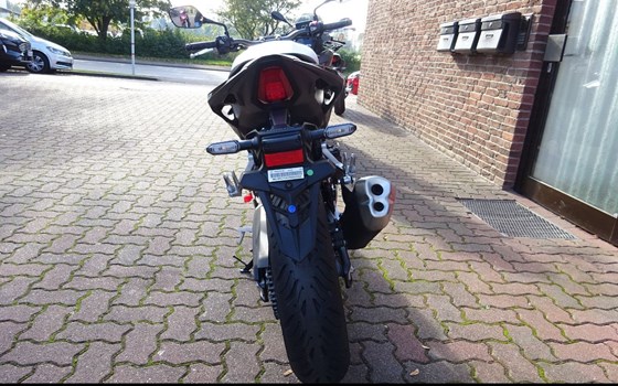Neufahrzeug Honda CB500 Hornet - Bild 2