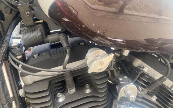 Gebrauchtmotorrad Harley-Davidson Sportster XL 1200C Custom - Bild 12