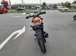 Angebot KTM 390 Adventure