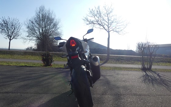 Neufahrzeug Honda CB1000 Hornet - Bild 15