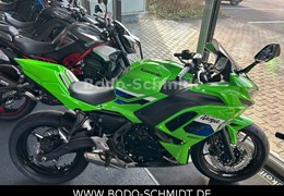Neumotorrad Kawasaki Ninja 650