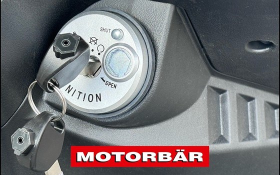 Neufahrzeug Speedex Overdrive 125i - Bild 4 Neufahrzeug Speedex Overdrive 125i - Bild 4