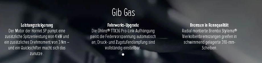 Offer Honda CB1000 Hornet SP Bild 5: Offer Honda CB1000 Hornet SP