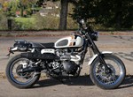 Angebot Triumph Scrambler 900