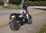 Angebot Triumph Scrambler 900