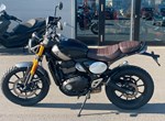 Angebot Triumph Scrambler 400 X