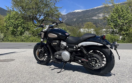 Neufahrzeug Benda Chinchilla 300 - Bild 2