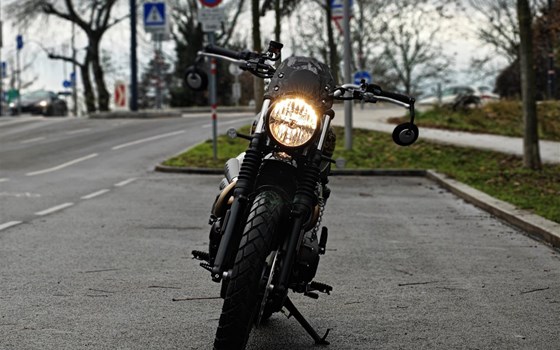 Neufahrzeug Triumph Scrambler 900 - Bild 10