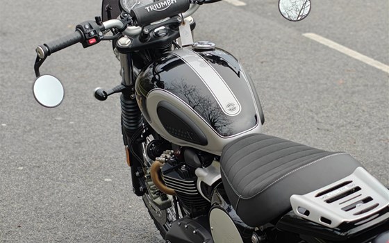 Neufahrzeug Triumph Scrambler 900 - Bild 13