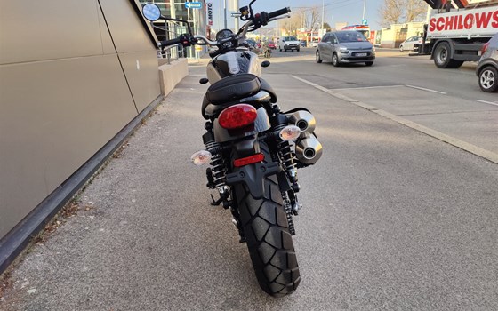 Neufahrzeug Triumph Scrambler 900 - Bild 5 Neufahrzeug Triumph Scrambler 900 - Bild 5