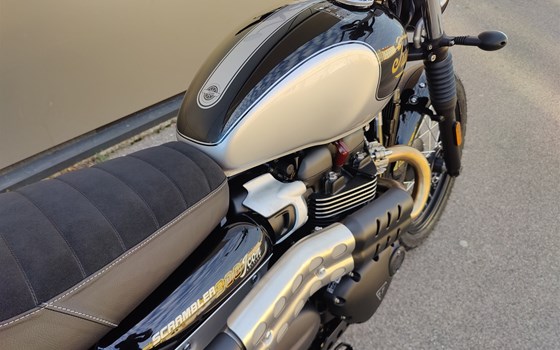 Neufahrzeug Triumph Scrambler 900 - Bild 8 Neufahrzeug Triumph Scrambler 900 - Bild 8