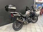 Angebot Triumph Tiger Explorer