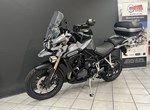 Angebot Triumph Tiger Explorer