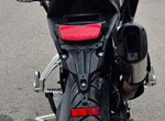 Angebot Triumph Tiger 900 GT Pro