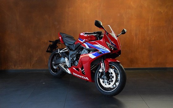 Neufahrzeug Honda CBR650R E-Clutch - Bild 1
