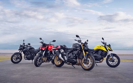 Neufahrzeug Honda CB1000 Hornet - Bild 3