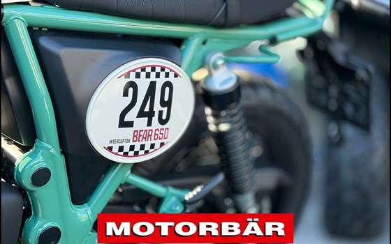 Neufahrzeug Royal Enfield Bear 650 - Bild 12