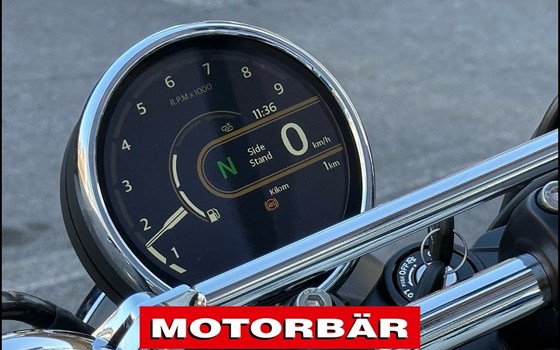 Neufahrzeug Royal Enfield Bear 650 - Bild 5