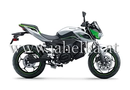 Neumotorrad Kawasaki Z e-1 Neumotorrad Kawasaki Z e-1