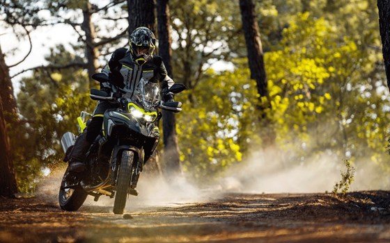 Neufahrzeug Benelli TRK 702 X - Bild 7