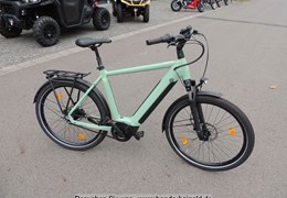 Neumotorrad Winora Sinus