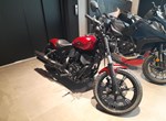 Angebot Indian Chief Dark Horse