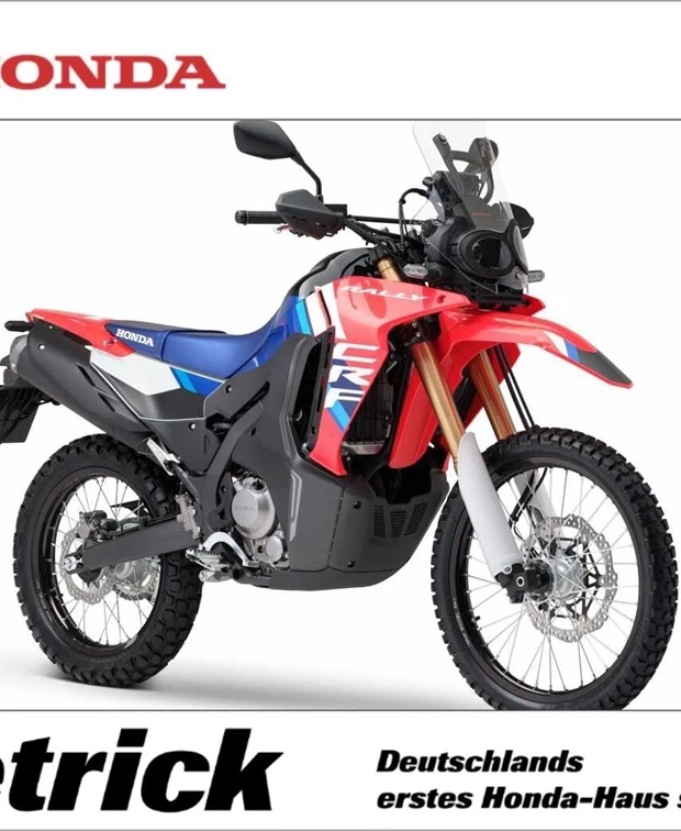 Honda CRF300 Rally