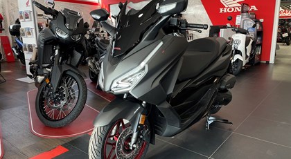 Neumotorrad Honda Forza 125