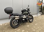 Offer Triumph Street Scrambler