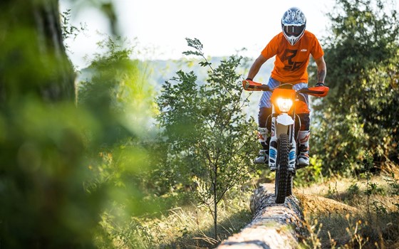 Neufahrzeug KTM Freeride E-XC - Bild 2
