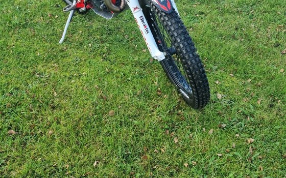 Gebrauchtmotorrad GASGAS TrialGP 300 - Bild 2