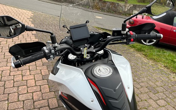 Gebrauchtmotorrad Benelli TRK 502 - Bild 4