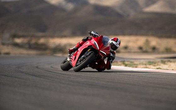 Neufahrzeug Ducati Panigale V2 S - Bild 10