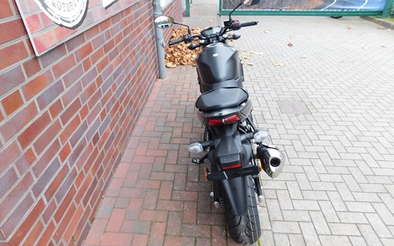 Neufahrzeug Suzuki SV 650S - Bild 5