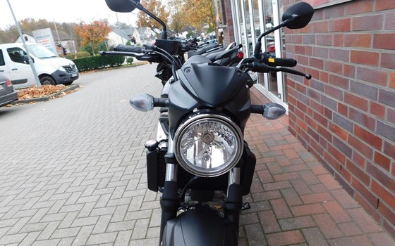 Neufahrzeug Suzuki SV 650S - Bild 6