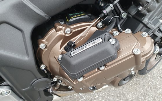Neufahrzeug Honda CB650R E-Clutch - Bild 5 Neufahrzeug Honda CB650R E-Clutch - Bild 5