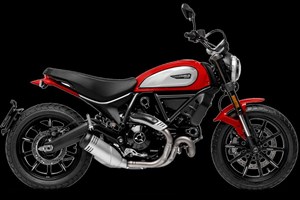 Angebot Ducati Scrambler Icon