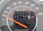 Angebot Peugeot Tweet 50 GT