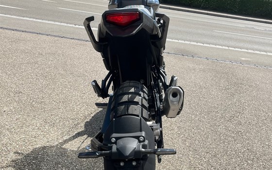 Neufahrzeug Beta Alp X - Bild 4