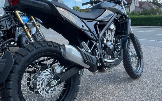 Neufahrzeug Beta Alp X - Bild 6