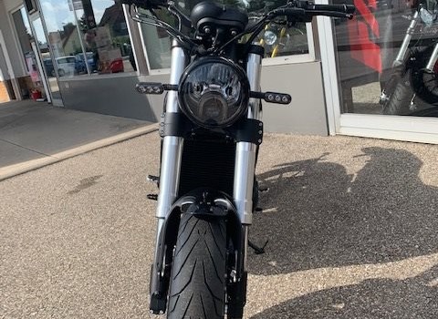 Neufahrzeug Benelli Leoncino 500 Trail - Bild 2