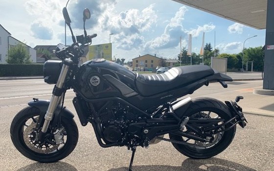Neufahrzeug Benelli Leoncino 500 Trail - Bild 1