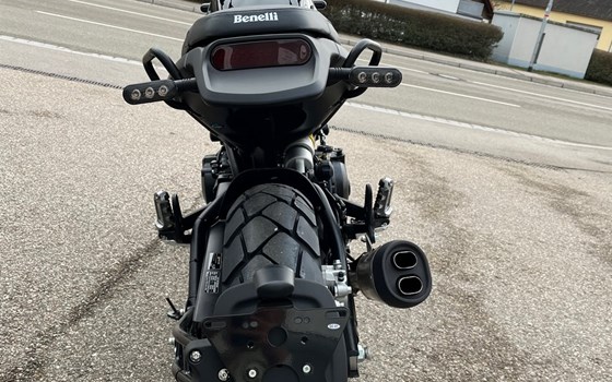 Neufahrzeug Benelli Leoncino 500 Trail - Bild 9