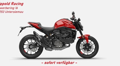 Neumotorrad Ducati Monster +