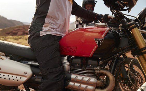 Neufahrzeug Triumph Scrambler 1200 XE - Bild 9 Neufahrzeug Triumph Scrambler 1200 XE - Bild 9