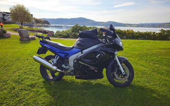 Gebrauchtmotorrad Triumph Sprint ST - Bild 2